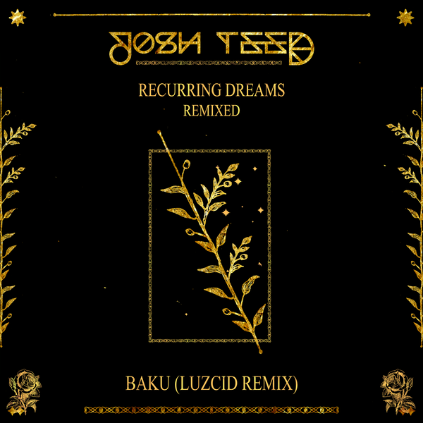 Josh Teed -  Baku (LUZCID Remix)