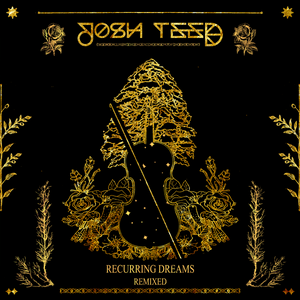 Josh Teed - Recurring Dreams Remixed